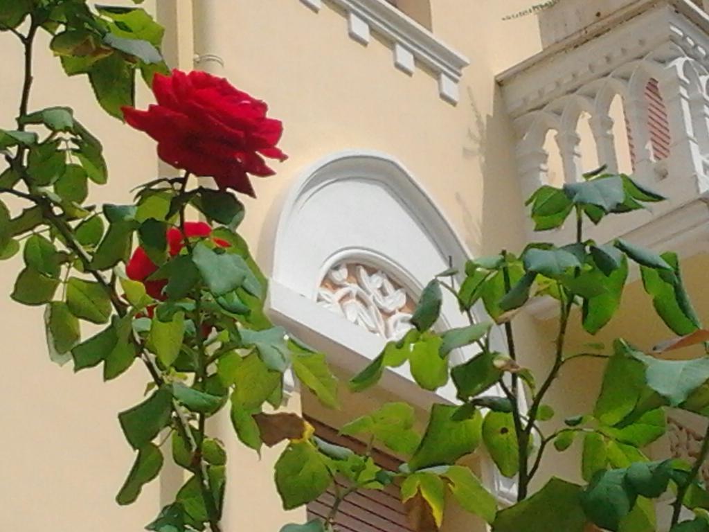 Relais Le Felci Executive Suite Spa Fiuggi Exterior photo
